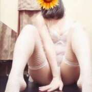 ヒメ日記 2025/07/21 01:34 投稿 なな 元町奥さま