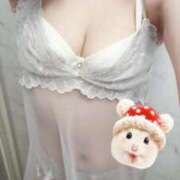 ヒメ日記 2025/09/16 23:54 投稿 なな 元町奥さま