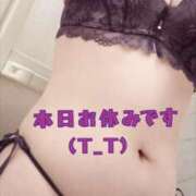 ヒメ日記 2025/11/14 07:44 投稿 なな 元町奥さま