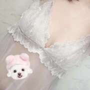 ヒメ日記 2026/01/06 08:54 投稿 なな 元町奥さま