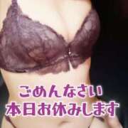 ヒメ日記 2026/02/12 12:34 投稿 なな 元町奥さま