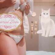 ヒメ日記 2025/02/09 08:42 投稿 みさ アイドルチェッキーナ本店