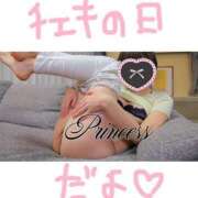 ヒメ日記 2025/02/16 13:02 投稿 みさ アイドルチェッキーナ本店