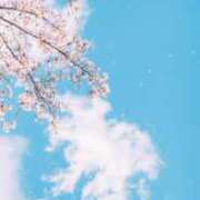 ヒメ日記 2025/04/12 19:02 投稿 みさ アイドルチェッキーナ本店