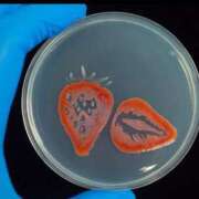 ヒメ日記 2025/05/04 08:09 投稿 みさ アイドルチェッキーナ本店