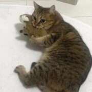 みさ 出勤です🌸 アイドルチェッキーナ本店