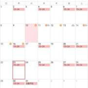 ヒメ日記 2024/12/12 12:44 投稿 りん 桃李（とうり）