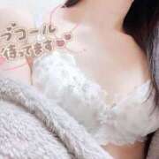 ヒメ日記 2025/03/15 10:44 投稿 りん 桃李（とうり）