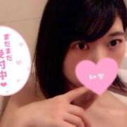 ヒメ日記 2025/06/25 15:20 投稿 りん 桃李（とうり）