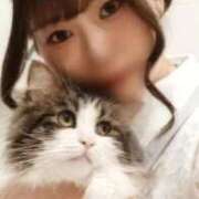 ヒメ日記 2025/11/22 12:24 投稿 りん 桃李（とうり）