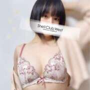 ヒメ日記 2024/12/29 08:43 投稿 工藤　りの シェルクラブ・ウエスト