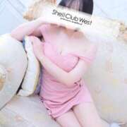 ヒメ日記 2025/04/08 10:11 投稿 工藤　りの シェルクラブ・ウエスト