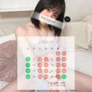 ヒメ日記 2025/04/19 10:02 投稿 工藤　りの シェルクラブ・ウエスト