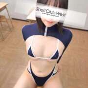 ヒメ日記 2025/11/13 10:09 投稿 工藤　りの シェルクラブ・ウエスト