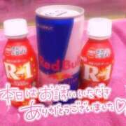 ヒメ日記 2025/01/08 10:57 投稿 チサト ドMなバニーちゃん水戸店