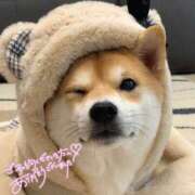 ヒメ日記 2025/01/24 21:44 投稿 チサト ドMなバニーちゃん水戸店