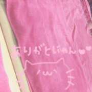 ヒメ日記 2025/02/15 14:27 投稿 チサト ドMなバニーちゃん水戸店