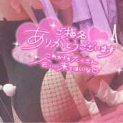 ヒメ日記 2025/03/16 23:27 投稿 チサト ドMなバニーちゃん水戸店