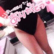 ヒメ日記 2025/05/04 08:48 投稿 チサト ドMなバニーちゃん水戸店