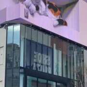 ヒメ日記 2025/04/06 17:52 投稿 りん 熟女の風俗最終章 池袋店