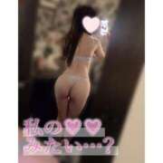 ヒメ日記 2025/11/12 15:05 投稿 さきや High Quality デリバリーヘルス Platinum Club