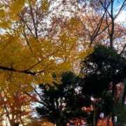 ヒメ日記 2024/12/18 13:20 投稿 さくら 新宿大久保 Aroma Cumpus