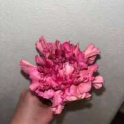 ヒメ日記 2025/04/29 10:16 投稿 さくら 新宿大久保 Aroma Cumpus