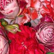 ヒメ日記 2025/05/02 17:23 投稿 さくら 新宿大久保 Aroma Cumpus