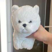 ヒメ日記 2025/06/13 01:31 投稿 さくら 新宿大久保 Aroma Cumpus