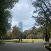 ヒメ日記 2025/11/20 12:07 投稿 さくら 新宿大久保 Aroma Cumpus