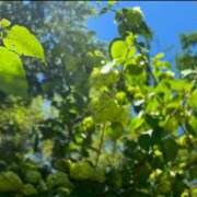 ヒメ日記 2025/03/17 23:53 投稿 高梨 西川口デッドボール