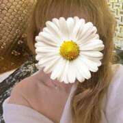 ヒメ日記 2025/07/17 16:51 投稿 ほの 即アポマダム～名古屋店～