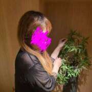 ヒメ日記 2025/08/14 07:11 投稿 ほの 即アポマダム～名古屋店～