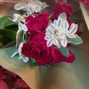 ヒメ日記 2025/06/24 07:19 投稿 ほの 即アポ奥さん〜名古屋店〜