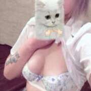 ヒメ日記 2025/08/12 17:16 投稿 プリン 吉祥寺角海老