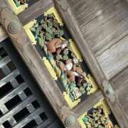 ヒメ日記 2025/09/16 18:56 投稿 プリン 吉祥寺角海老