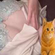 ヒメ日記 2025/10/14 13:06 投稿 プリン 吉祥寺角海老