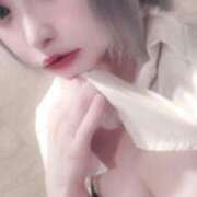 ヒメ日記 2025/12/01 20:16 投稿 プリン 吉祥寺角海老