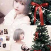 ヒメ日記 2025/12/16 18:06 投稿 プリン 吉祥寺角海老