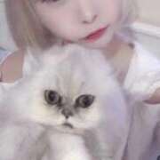 ヒメ日記 2026/01/21 18:49 投稿 プリン 吉祥寺角海老