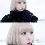 ヒメ日記 2026/01/29 21:46 投稿 プリン 吉祥寺角海老