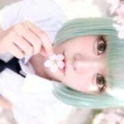 ヒメ日記 2026/04/18 20:16 投稿 プリン 吉祥寺角海老