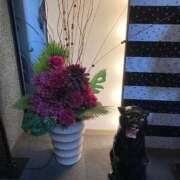 ヒメ日記 2025/11/02 01:06 投稿 谷口 熟女の風俗最終章 新横浜店