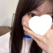 せりな 🐱🎶 CECIL