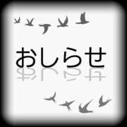 ヒメ日記 2025/04/24 10:24 投稿 ひとみ ぐらどるえっぐ