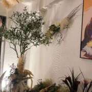 ヒメ日記 2025/08/30 15:06 投稿 とあ THE ESUTE HOUSE 柴田