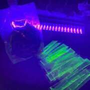 ヒメ日記 2025/10/22 12:12 投稿 とあ THE ESUTE HOUSE 柴田