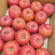 ヒメ日記 2025/12/14 17:06 投稿 とあ THE ESUTE HOUSE 柴田