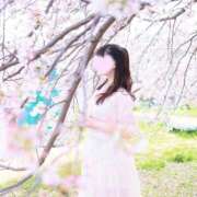 ヒメ日記 2026/03/29 15:26 投稿 とあ THE ESUTE HOUSE 柴田