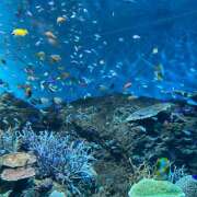 ヒメ日記 2025/09/19 18:12 投稿 みさき non-non 神田(ノンノン神田)